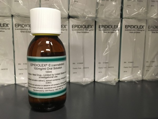 房客不繳租飄出青草味 破門驚見600株  「大麻植物園」 