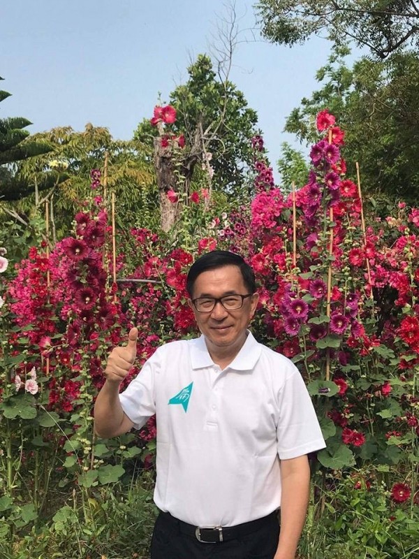 「躺著也中槍」 謝長廷回應阿扁：簡化選舉敗因並不公平 