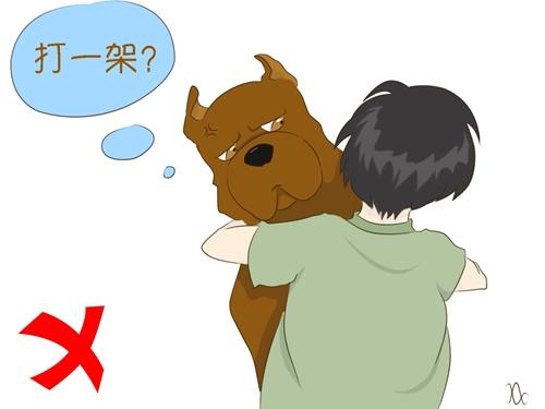 遇陌生狗狗，記住這5件事情不要做！第2條很多人都中招了...