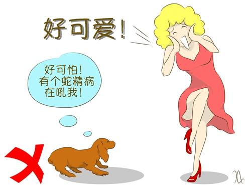 遇陌生狗狗，記住這5件事情不要做！第2條很多人都中招了...