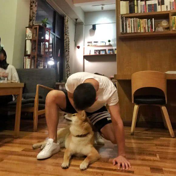 王者榮耀；榮耀王者發上分心得，銘文卻爆評論，網友：無心插柳