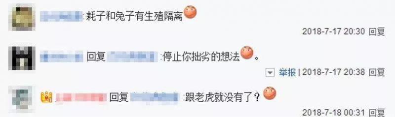 王者榮耀：元芳被罵作舔狗，裴擒虎欲哭無淚，只因阿離這款新皮膚