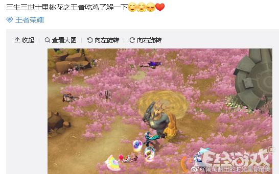 王者榮耀新模式被徹底玩壞了！玩家不吃雞跑去桃花林談戀愛！