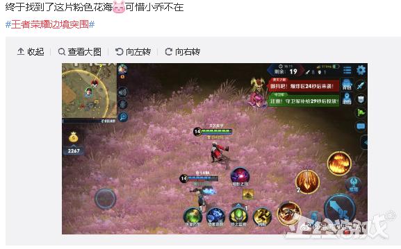 王者榮耀新模式被徹底玩壞了！玩家不吃雞跑去桃花林談戀愛！