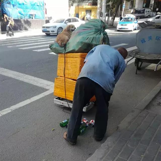 拾荒大爺撿到流浪狗，彼此間相依為命，坐小拖車上笑得很溫暖