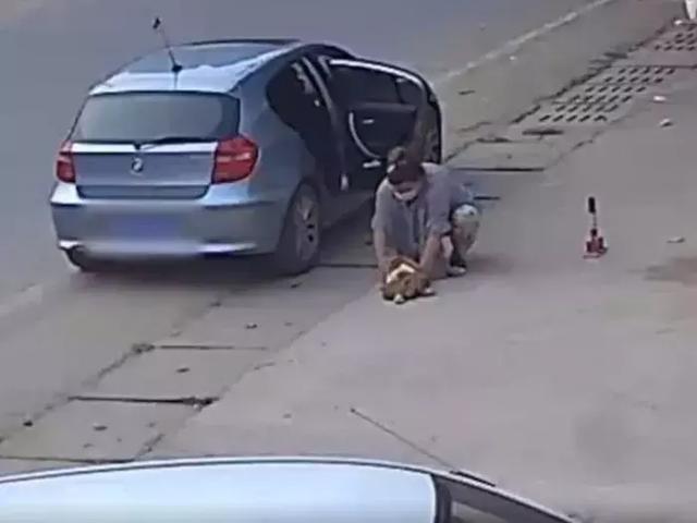 穿著名牌開著豪車的肥女人，偷完四隻小英牛後，回到主人家偷母狗