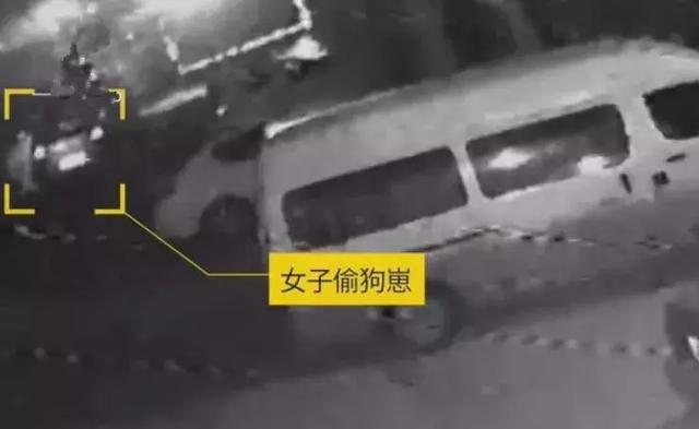 穿著名牌開著豪車的肥女人，偷完四隻小英牛後，回到主人家偷母狗