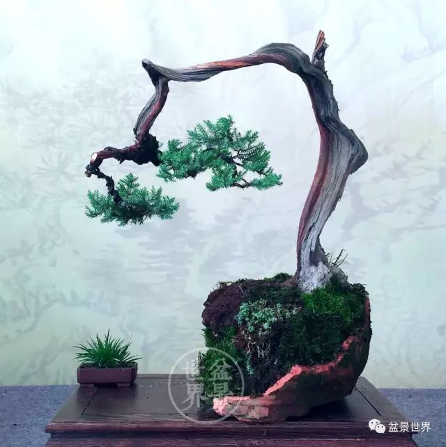 殘缺，有時比圓滿更令人震撼 