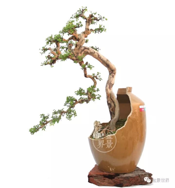 殘缺，有時比圓滿更令人震撼 