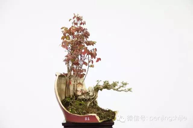 殘缺，有時比圓滿更令人震撼 