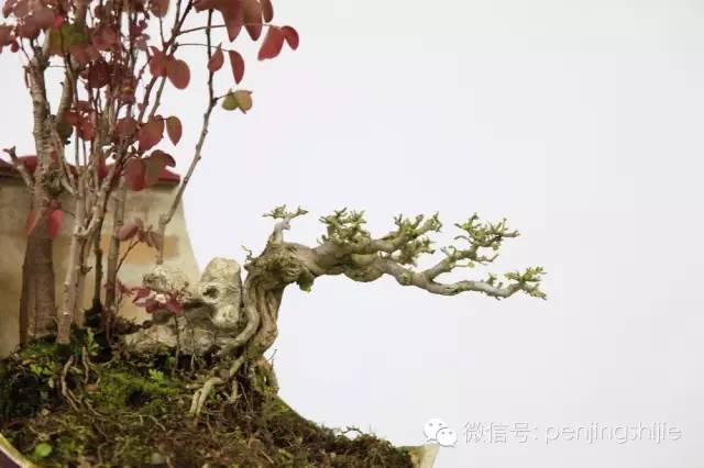 殘缺，有時比圓滿更令人震撼 