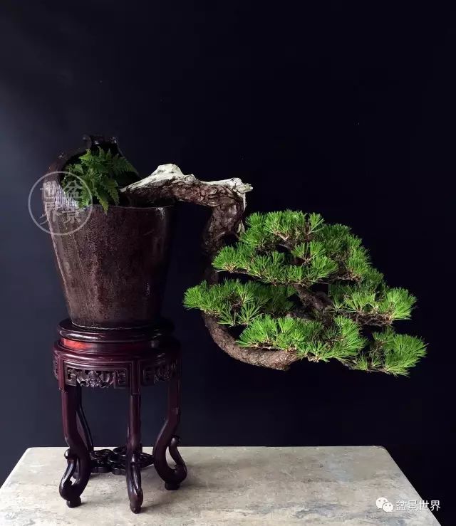 殘缺，有時比圓滿更令人震撼 