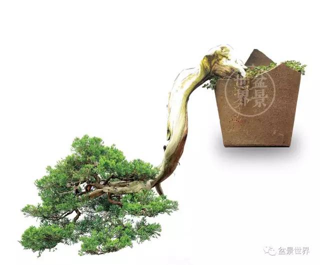 殘缺，有時比圓滿更令人震撼 