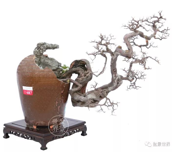 殘缺，有時比圓滿更令人震撼 