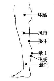 人老先老腿，治百病從腿養，10種養腿治病之法，值得收藏