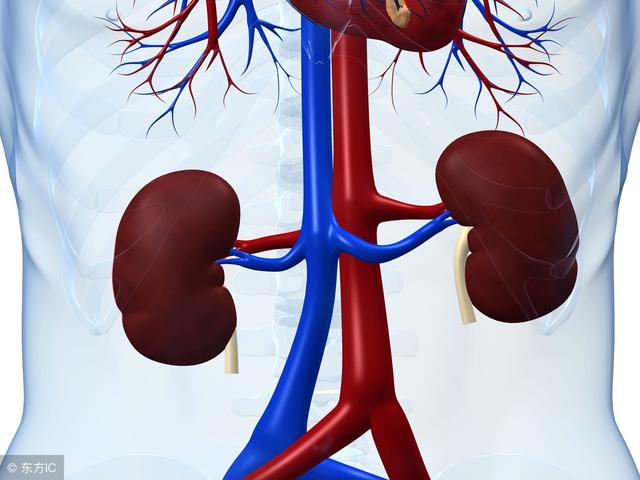 憋尿居然把膀胱憋「炸」了！看完憋尿的9大危害，再也不敢憋了