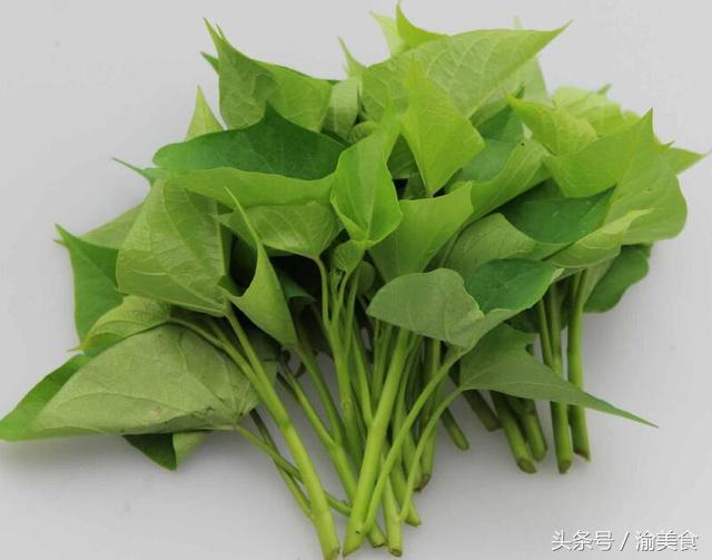 癌細胞最怕的「9種」菜 ，常吃身體也很健康啊！ 