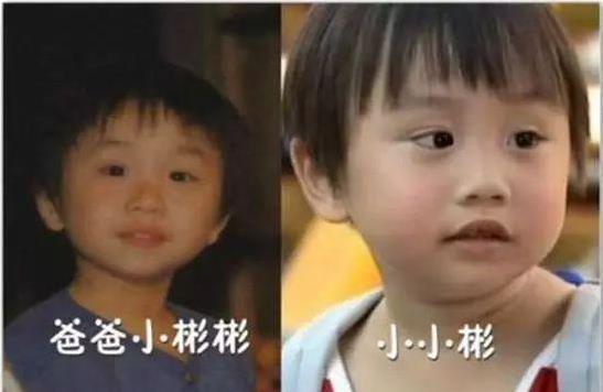 14歲小小彬被爸爸當搖錢樹來還房貸養全家！如今近照曝光，手腳潰爛令人心疼！