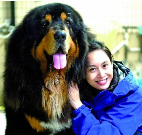 46歲朱茵全家近照，黃貫中寵了她20年，小女兒實在太可愛了啊！