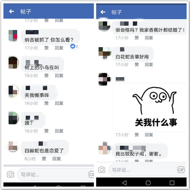 【要不要這麼絕啊?】四葉草與SpeXial子閎戀愛消息證實後『大馬與台灣網友』留言超極端!!