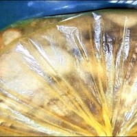 批柯大巨蛋黑箱決策 姚文智：跟馬富邦魚翅案一樣 