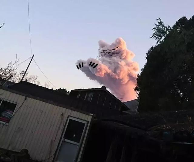 新燃岳火山噴出了一隻貓，但這隻貓可不能吸 
