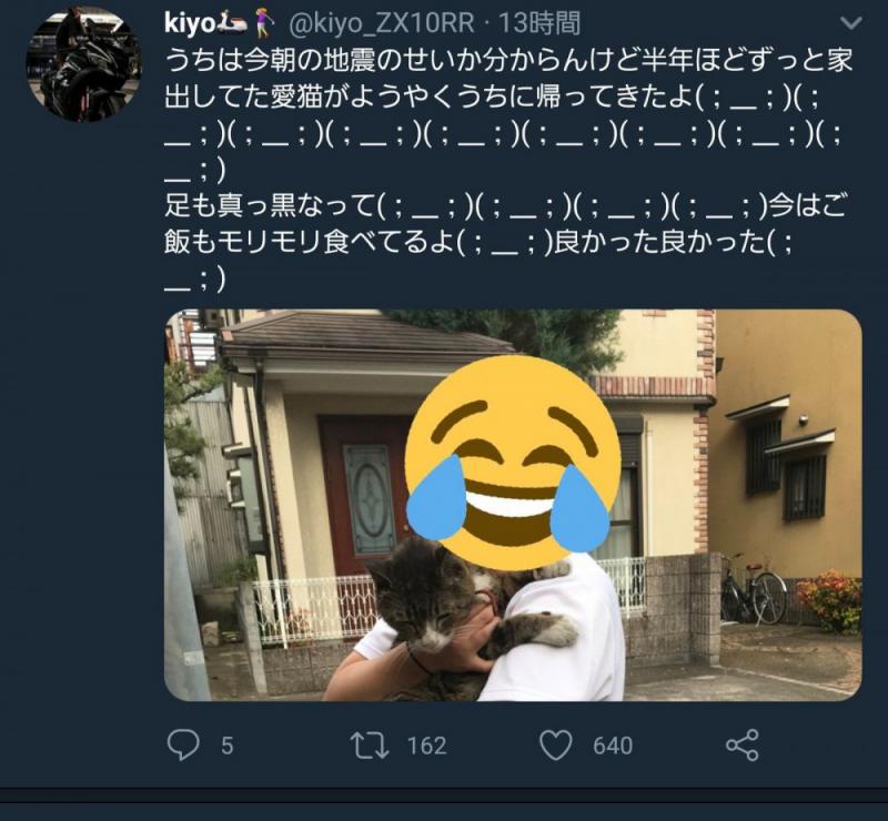 『奴才，你還好嗎！』日本推特主貓走失半年，在大阪強震時竟驚喜出現在家門口！ 