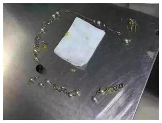 二哈兩天不吃飯了，帶去給醫生一查，主人：吃了有2萬多
