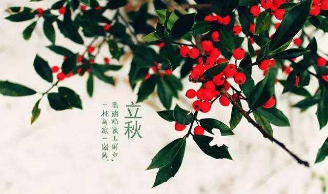 立秋六大生肖：聚財，生財，旺財，發財，一定中頭獎！ 