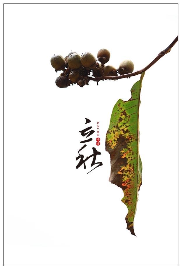 立秋六大生肖：聚財，生財，旺財，發財，一定中頭獎！ 