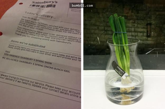 27張不管看幾次「都會害人笑得像瘋子一樣」的超有爆點畫面