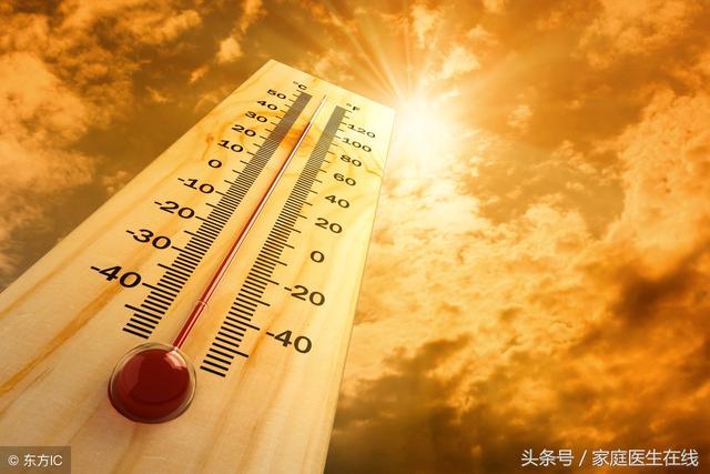 冰飲喝太多易傷身，夏季要消暑，不妨試試這5款花茶