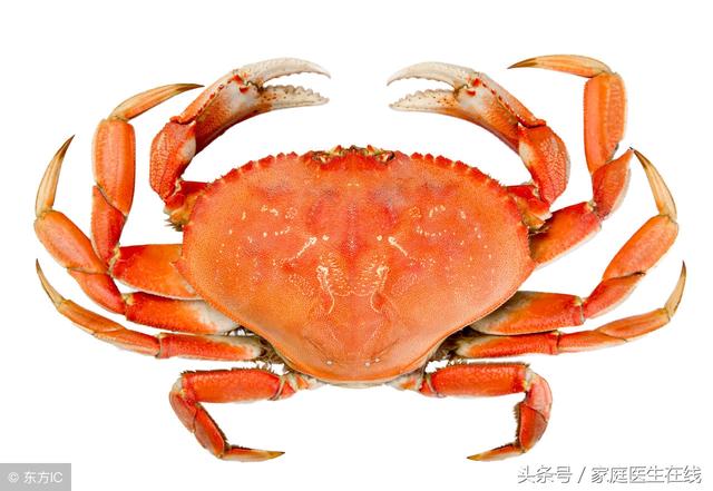 螃蟹除了美味，原來有這麼多功效，厲害了！