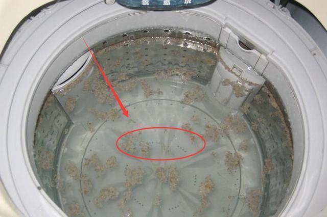 洗衣機用久了洗衣服洗不乾凈？教你一招輕鬆除菌，衣服越洗越潔凈！ 
