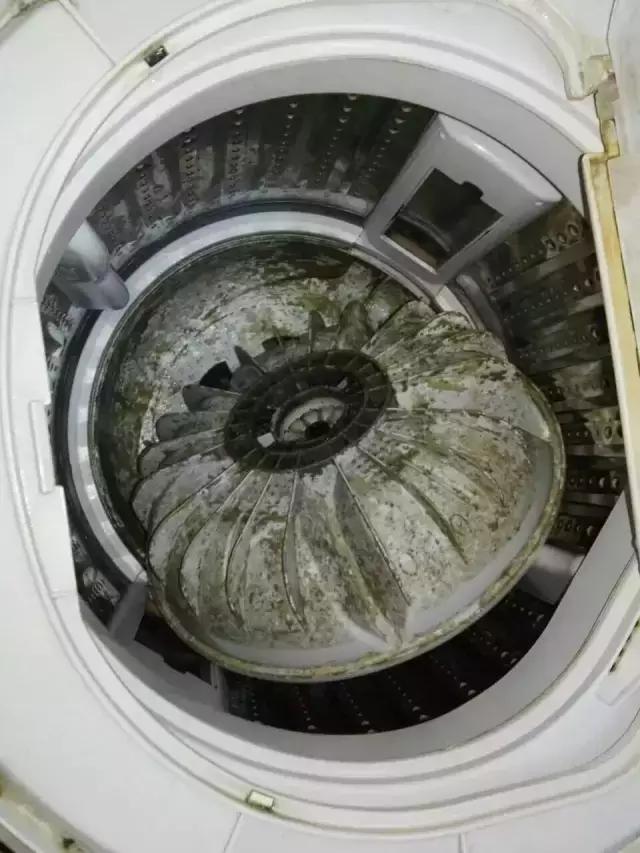 洗衣機用久了洗衣服洗不乾凈？教你一招輕鬆除菌，衣服越洗越潔凈！ 