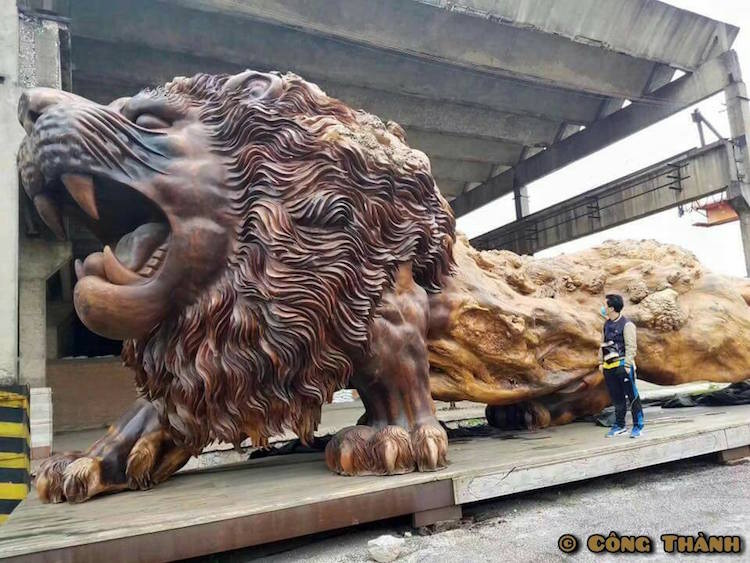 22位神人「將一棵樹雕成獅子」破世界紀錄　耗時3年終於完工...尤其「正面」霸氣到不行！ 