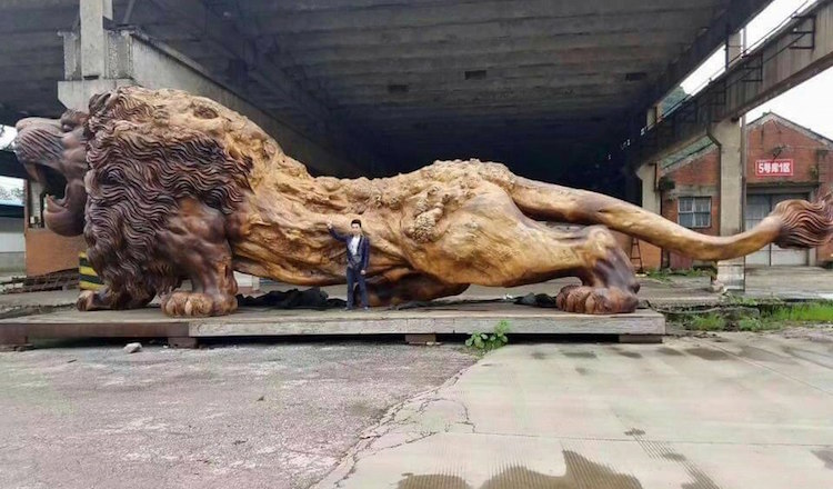 22位神人「將一棵樹雕成獅子」破世界紀錄　耗時3年終於完工...尤其「正面」霸氣到不行！ 
