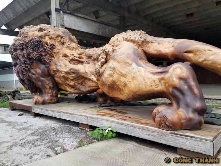 22位神人「將一棵樹雕成獅子」破世界紀錄　耗時3年終於完工...尤其「正面」霸氣到不行！ 