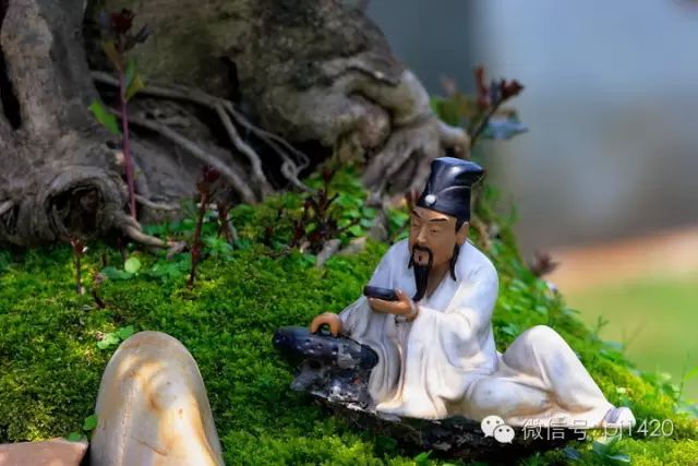 盆上美景，神奇的點睛之筆！ 