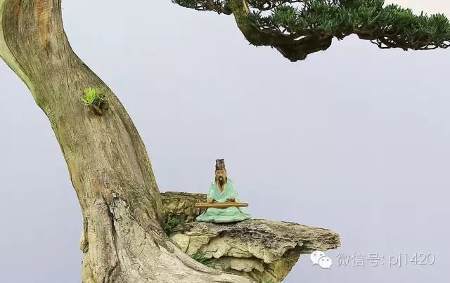 盆上美景，神奇的點睛之筆！ 