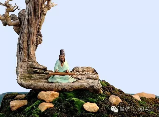 盆上美景，神奇的點睛之筆！ 
