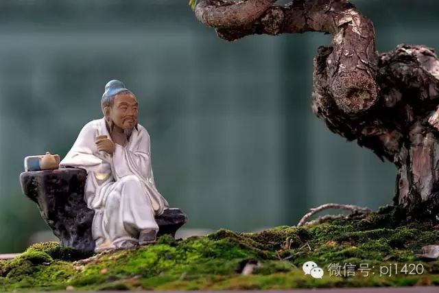 盆上美景，神奇的點睛之筆！ 