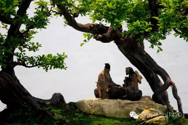 盆上美景，神奇的點睛之筆！ 