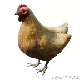 刺激戰場現在真的能吃雞了！海景房被改造成養雞場，還能花式吃雞