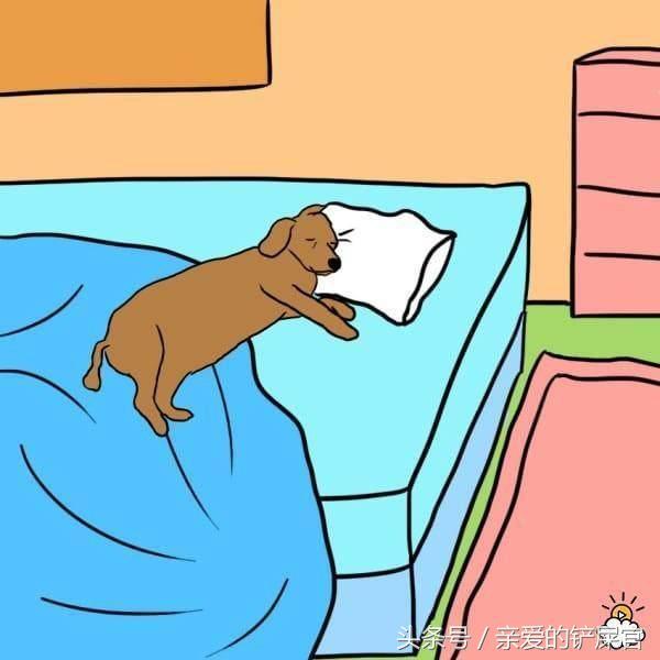 當狗狗出現這些行為時不要懊惱，這都是它們愛你的表現