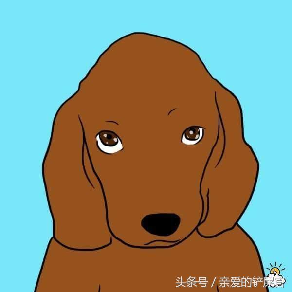 當狗狗出現這些行為時不要懊惱，這都是它們愛你的表現