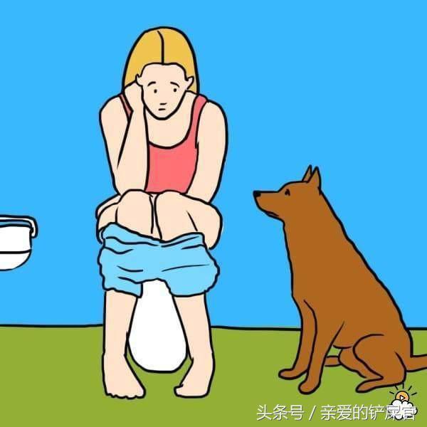 當狗狗出現這些行為時不要懊惱，這都是它們愛你的表現