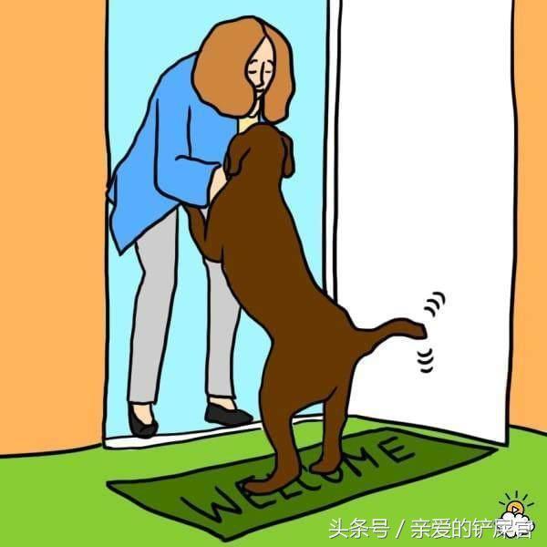 當狗狗出現這些行為時不要懊惱，這都是它們愛你的表現