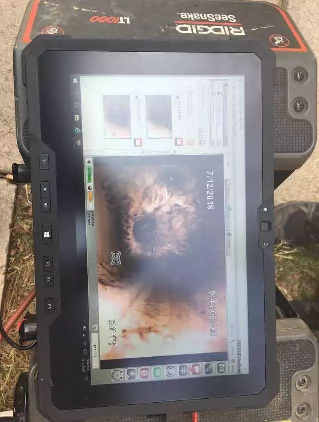 小奶狗掉入下水道排水管，消防員：就算把管道全部挖開也要救它