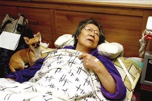 她賣掉了自己的房子，卻讓1000餘只流浪動物擁有了家